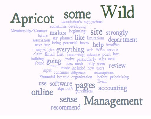 Word Cloud of Wild Apricot article