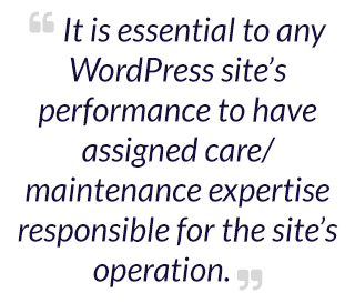 It is essential to any WordPress site’s performance to have assigned care/maintenance expertise responsible for the site’s operation.
